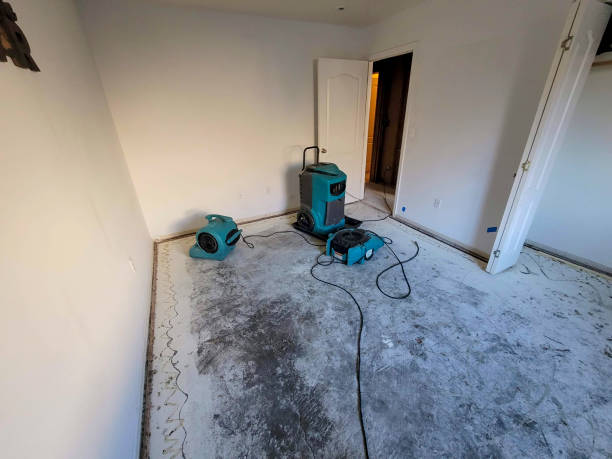 East Williston, NY Water damage restoration Company