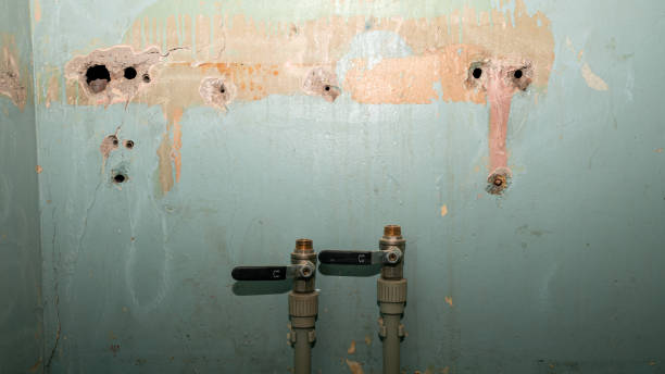 Best Ceiling water damage repair  in East Williston, NY