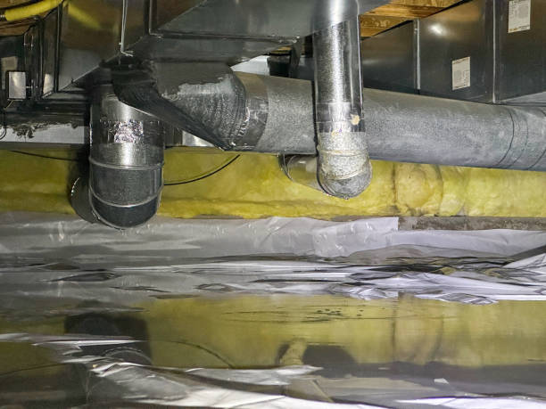 Best 24/7 water damage repair  in East Williston, NY